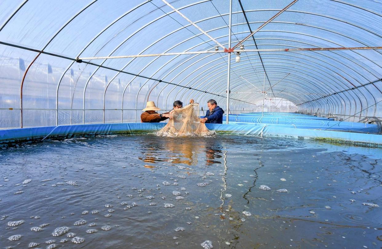 水产养殖水质检测标准与健康养殖