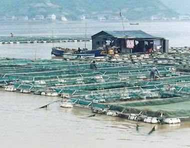 水产养殖业的种类与常见水产品养殖方式
