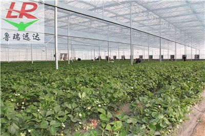 济南市废旧塑料清洗污水处理设备优惠力度加大 助推水产品养殖绿色升级