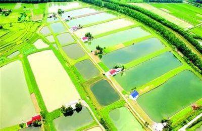 传统渔业向现代渔业转变_水产养殖_湖北水产网